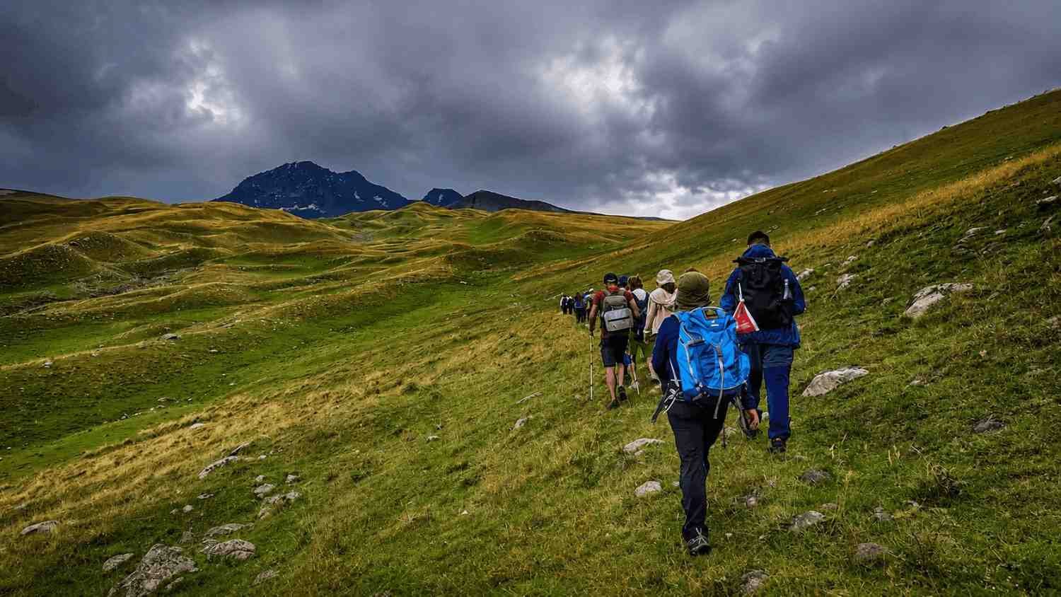 Ալպյան մարգագետնի հյուսվածքներ և հրաբխային հող Ռափի լճի մոտ